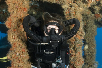 A rebreather diver who's CCR unit is equipped with a Bailout Valve (BOV).