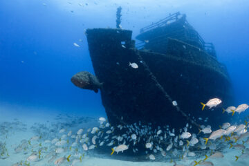 Anna Celica wreck off Palm Beach Florida