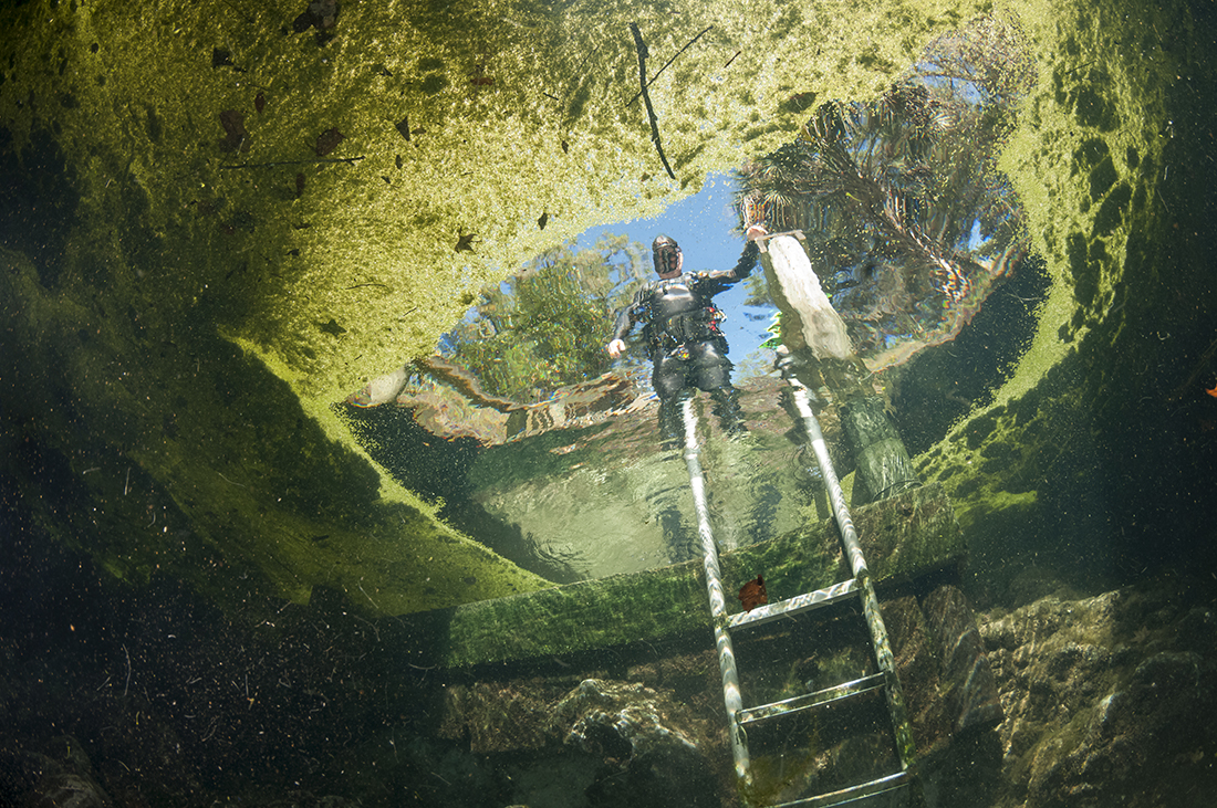 A diver preparing to enter Catfish Sink at Manatee Springs State Park.