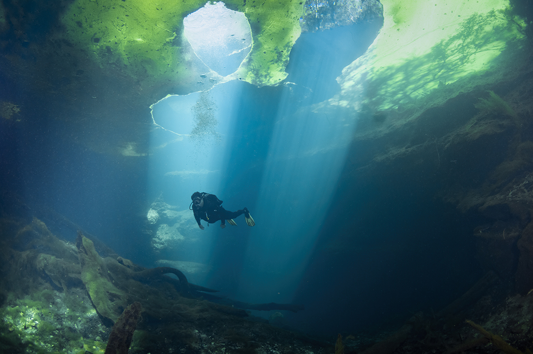 Once submerge inside Catfish Sink’s 100-foot diameter by 50-foot deep sinkhole, the bubbles from your regulator as they hit the surface will create large holes in the duckweed ceiling creating some very interesting light patterns within.