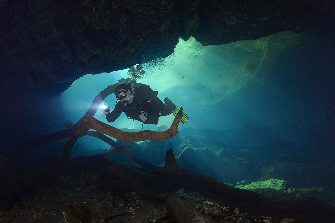 While the cave systems at Manatee Springs can be challenging, the cavern zone in Catfish Sink is ideal for freshly-minted cavern divers to practice or refresh their skills. The sand-and-clay bottom produces a heavy layer of silt that is somewhat forgiving of errant fin kicks. Another plus, the large cavern zone is flanked by several submerged logs that provide secure tie off points for guidelines.