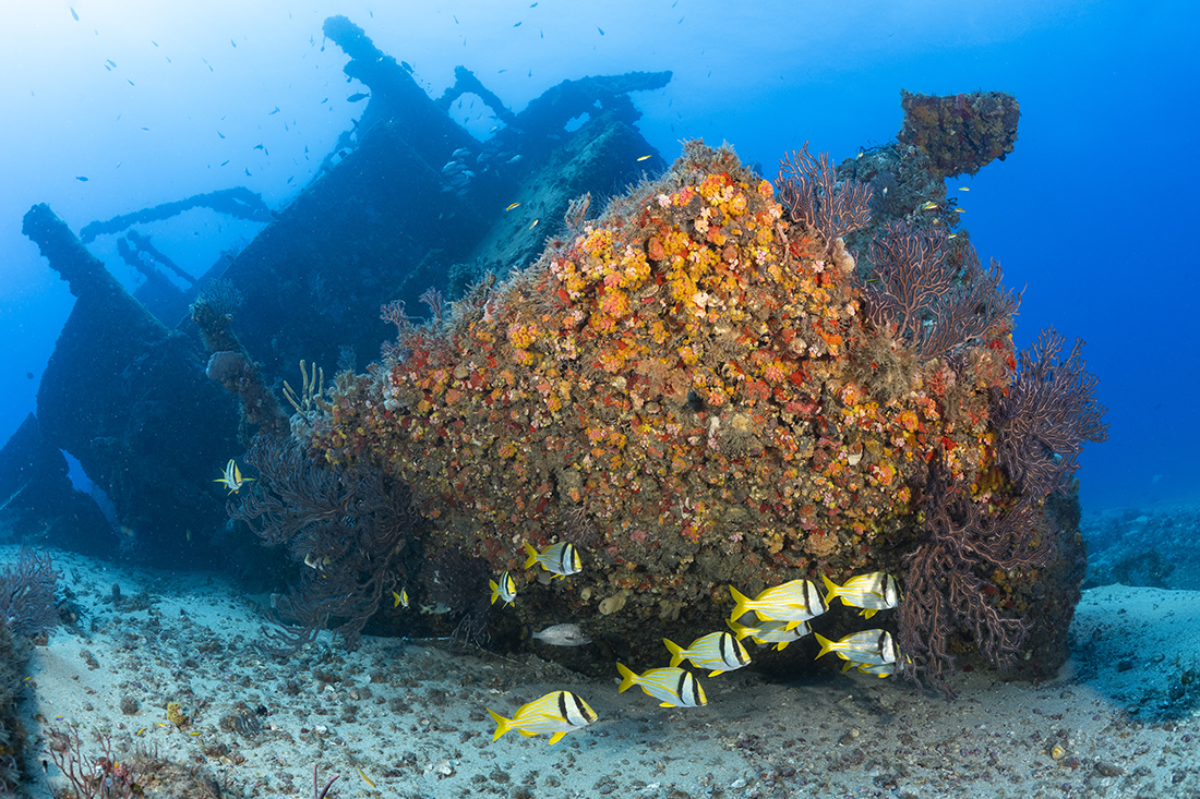 One of the broken-up wreck sections at Governor’s Riverwalk in Palm Beach Florida.