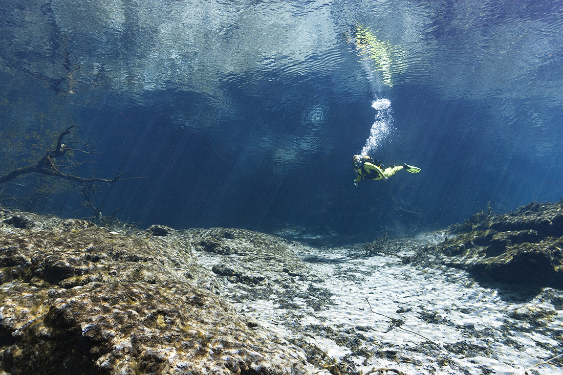The “bowl of liquid light” experience below the surface inside the main spring basin at Ginnie Springs.