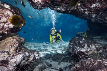 Diver looking into the Ballroom cavern in Ginnie Springs, spring basin in North Florida.