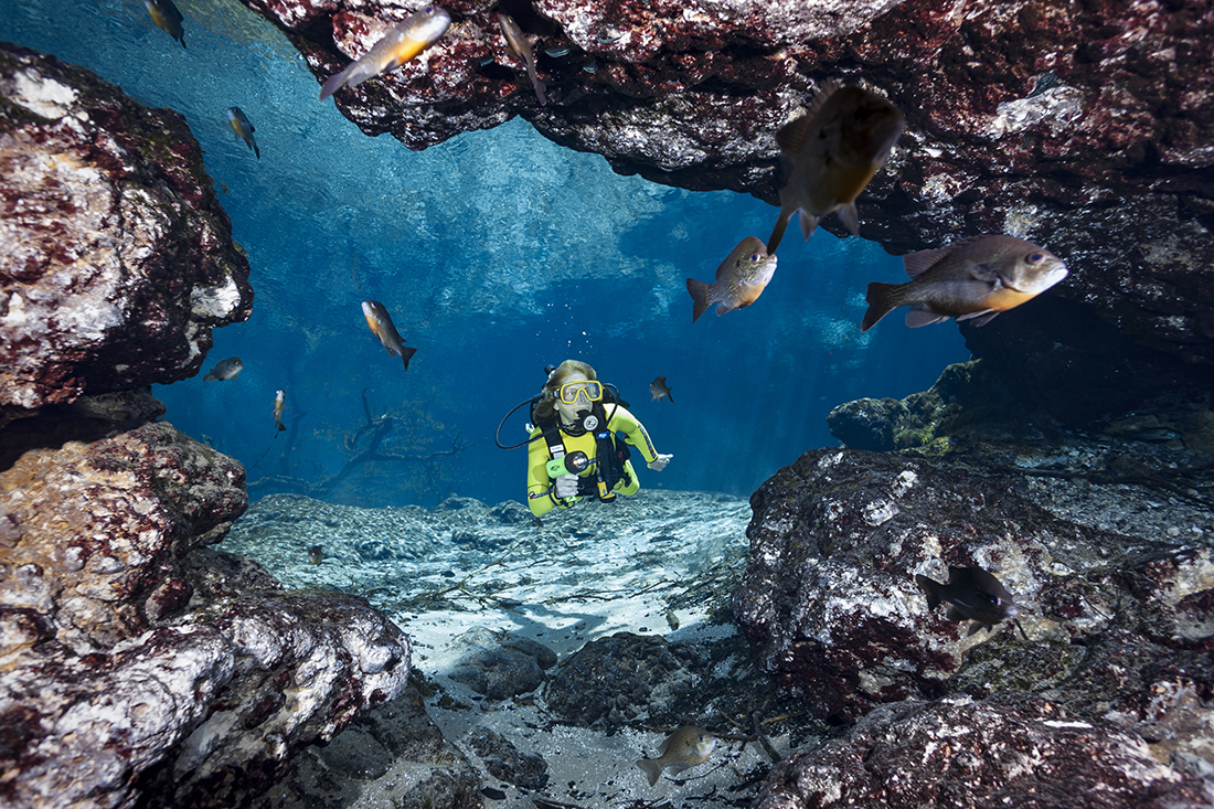 Framed by the entrance into Ginnie Springs’ underwater cavern - the ballroom, diver Karen Stearns enjoys the scenic serenity of the spring’s main basin in early morning hours.