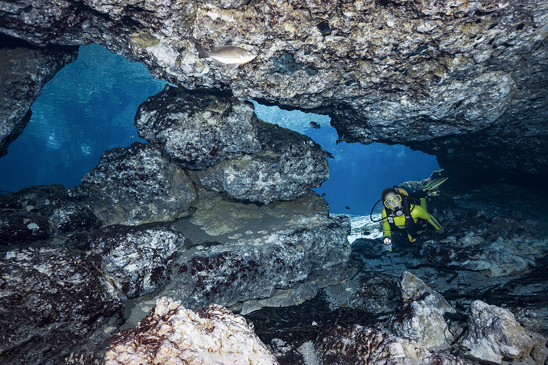 Diver Karen Stearns moves about freely inside the upper portion of the Ballroom at Ginnie Springs.