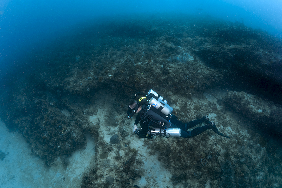 A diver on a closed-circuit rebreather uses the current to drift along the edge of the deep-water ledge the Hole-in-the-Wall is located on.