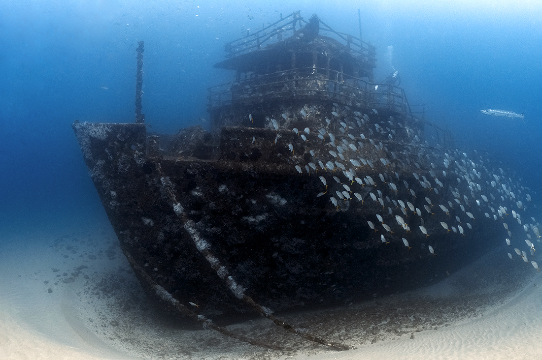 M/V Ana Cecilia wreck off of West Palm Beach. While wreck diving is not one of the Palm Beach Coasts signature traits, there are a few in 70 – 100-foot depth range that make for a fun dive.