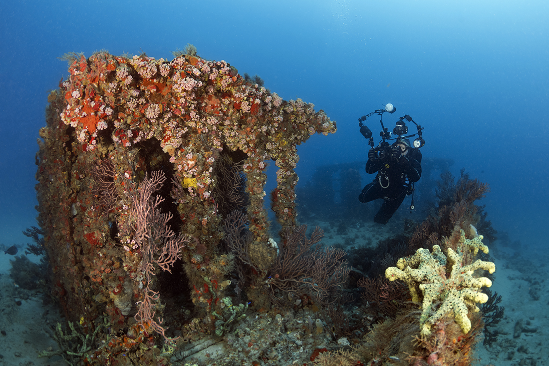 PC-1174 wreck (next door to the Mizpah wreck) off of West Palm Beach Florida.