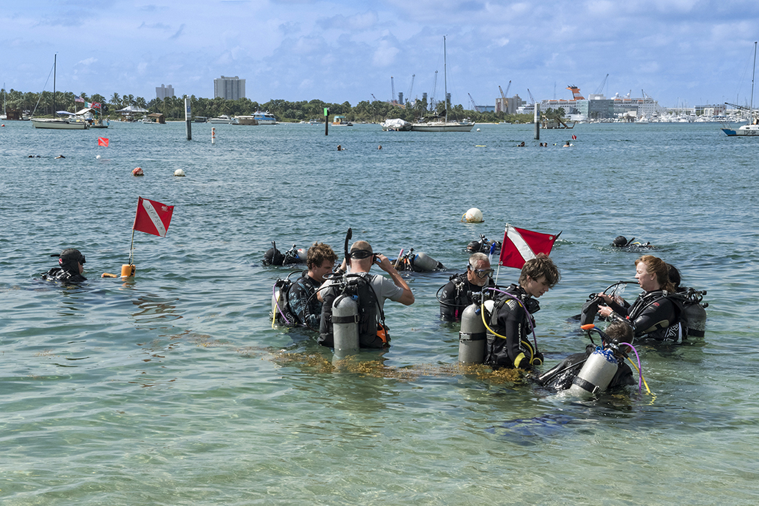 Open water scuba class wading into the water at Phil Foster Park/Blue Heron Bridge. 