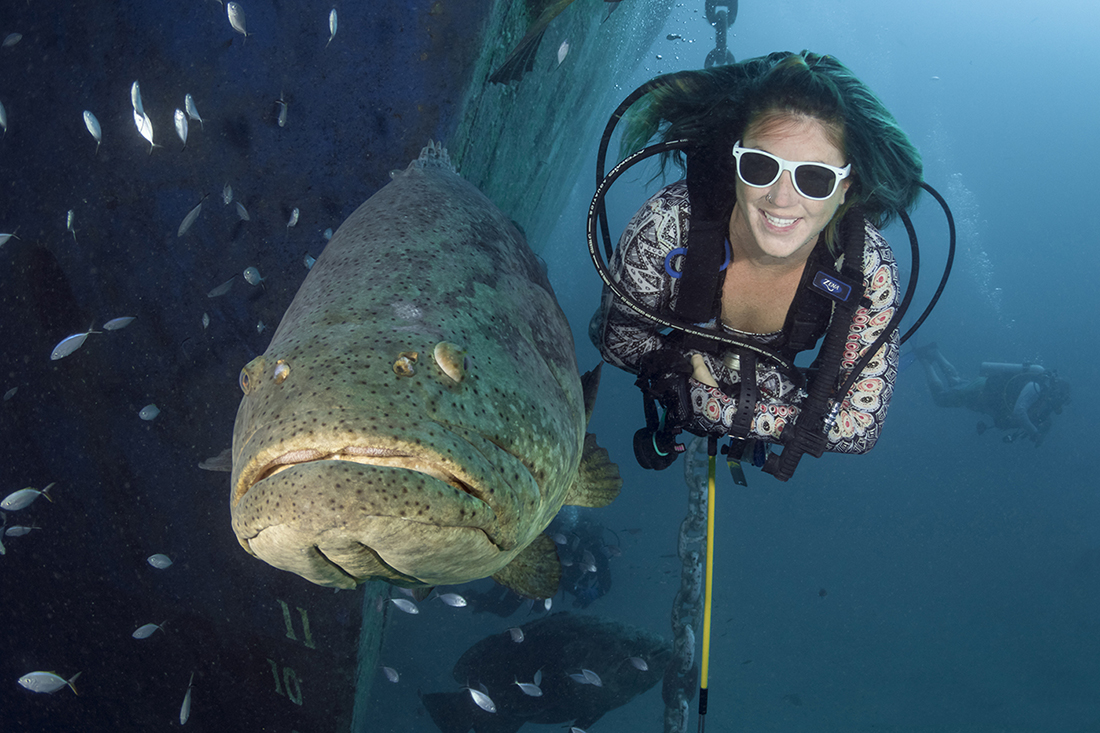 Diver getting silly with a pair of cheap sunglasses poses next the Corridor’s resident goliath grouper Braveheart. Judging by the big guy’s expression, he is not that amused.