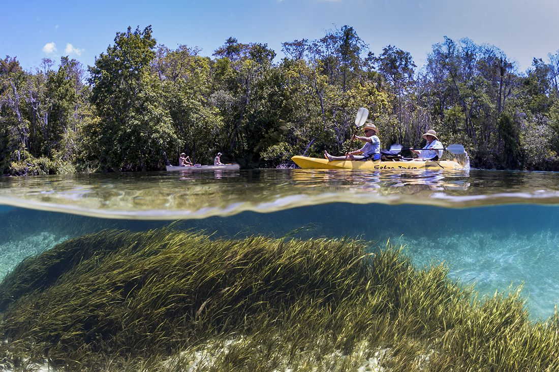 Rainbow River is spot for canoeing and kayaking the main run.