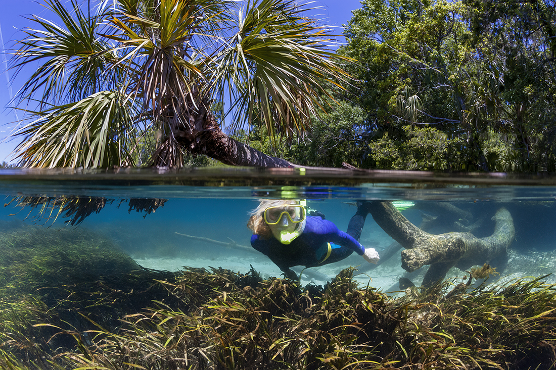 Rainbow River is one of Florida’s finest clear-water spring runs, and remains a favorite destination for paddlers, tubers, swimmers and divers alike.