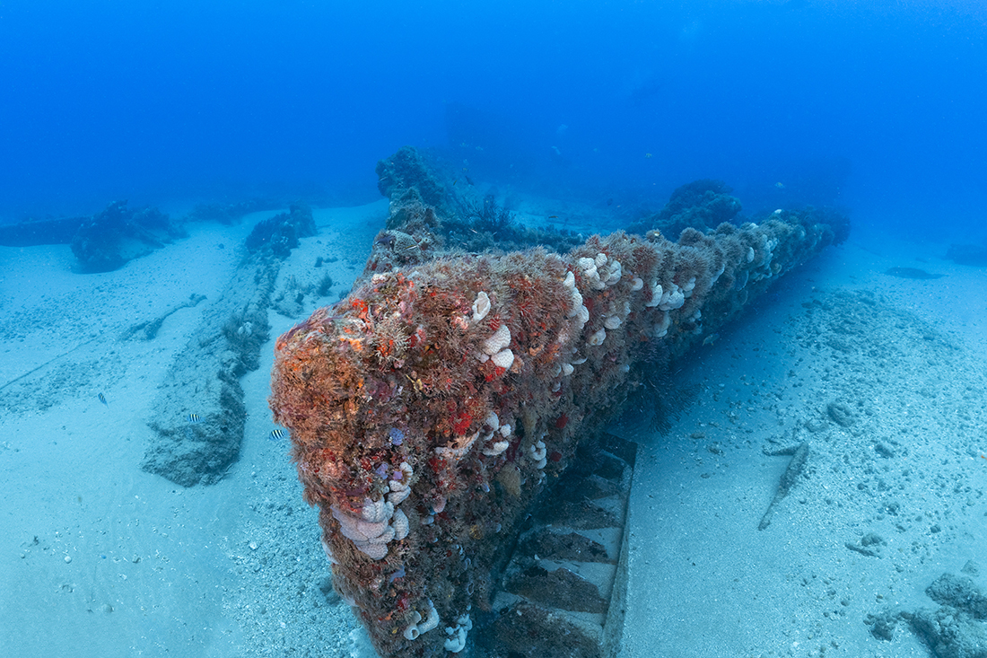 The bow of the Amaryllis wreck, or we locals refer to as the 450-foot canoe due her entire superstructure was removed right down to the lower decks leaving nothing but an open hull.