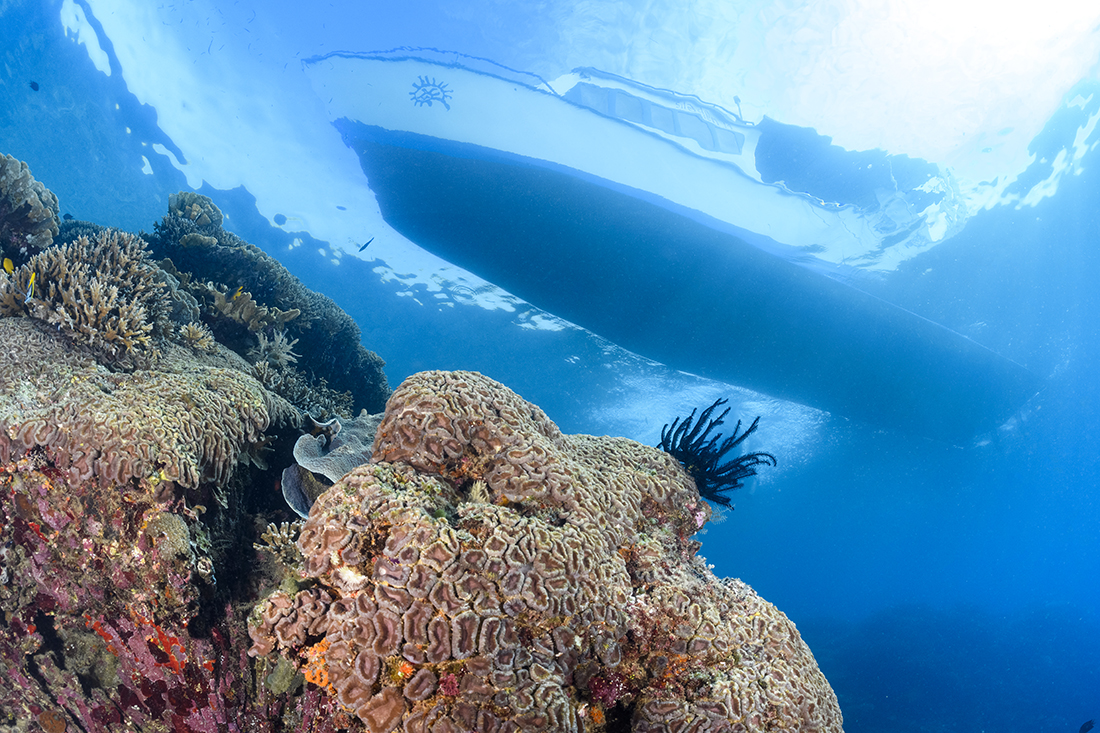 Siladen dive boat over the reef.