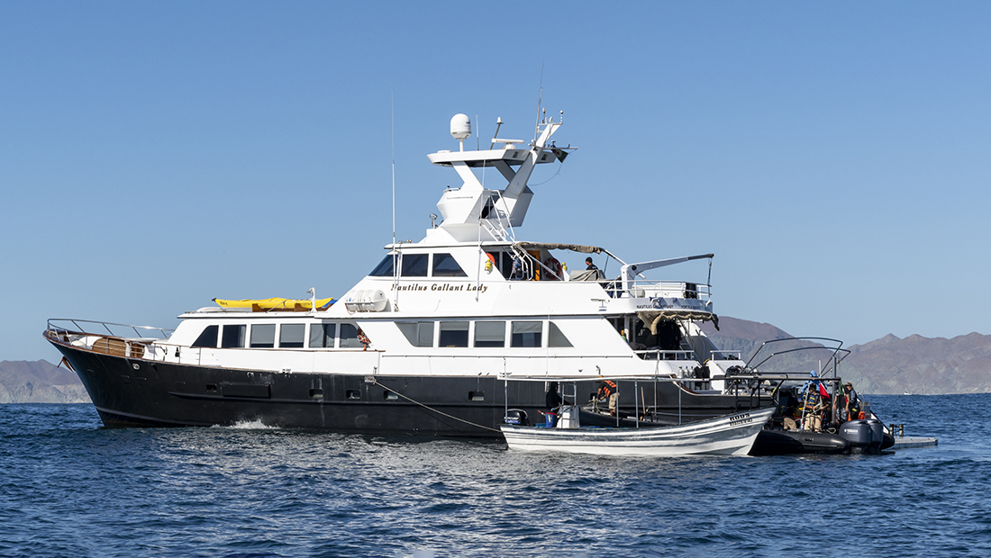 Nautilus Fleet's 116=foot liveaboard Gallant Lady