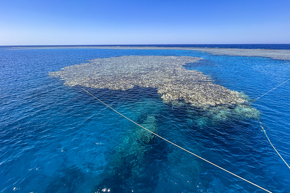 Abu Dahab along with it’s neighboring reef Shaab Marsa Alam featured a general reef profile with the top reef staring near 0 feet from the surface dropping sharply downward to a depth between 32 ft / 10 m and 65 ft / 20 m.