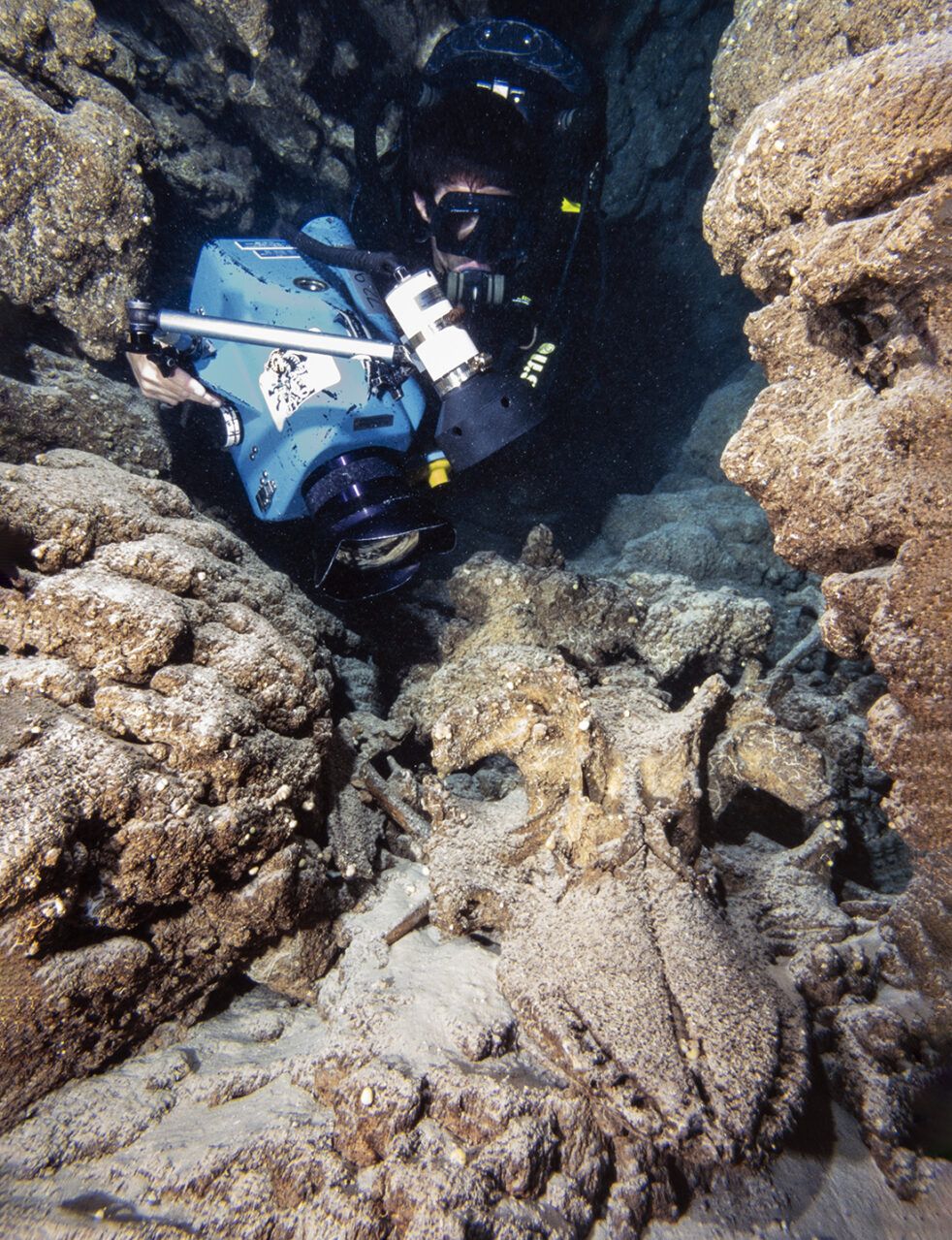 John McKenney diving a Biomarine Mark 15.5 Closed Circuit rebreather filming the skull which belonged to a large bull found at the 103-foot depth zone in the cave. Through the process of carbon dating, it was learned that the skeletal remains belonging to the largest of the four whales, we nicknamed big bird, was roughly 3,800 years old, placing the time of death during the age of Egyptian pharos. 