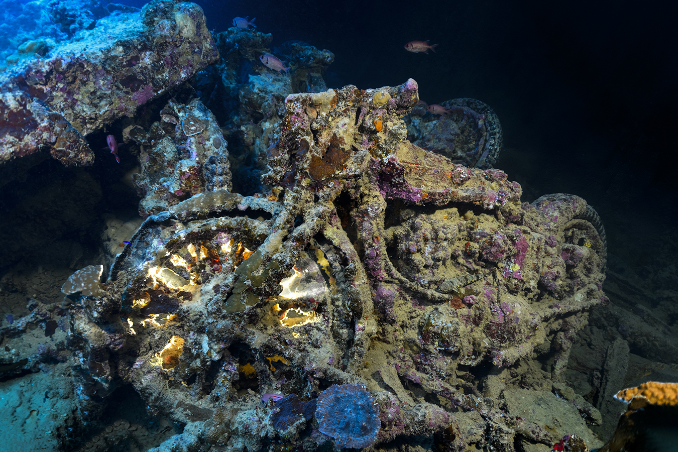 One of the many motorcycles in the holds of the Thistlgorm wreck in the northern Red Sea.