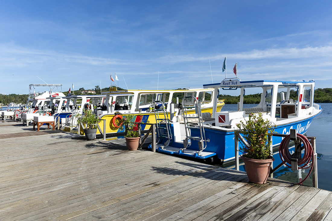 Coco View Resort's main fleet consists of five 50-foot vessels featuring hardtop roof, aft swim platform with dual ladders. Their most unique feature is a center-keel entry port, allowing divers to exit the water by climbing a ladder straight up through the middle of the boat. 
