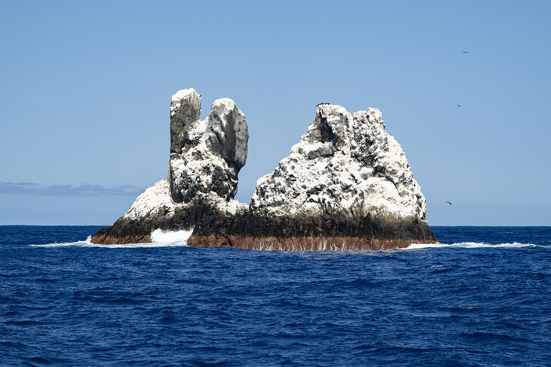 Roca Partida above water is more rock outcropping than an island rising 60 feet above the water.