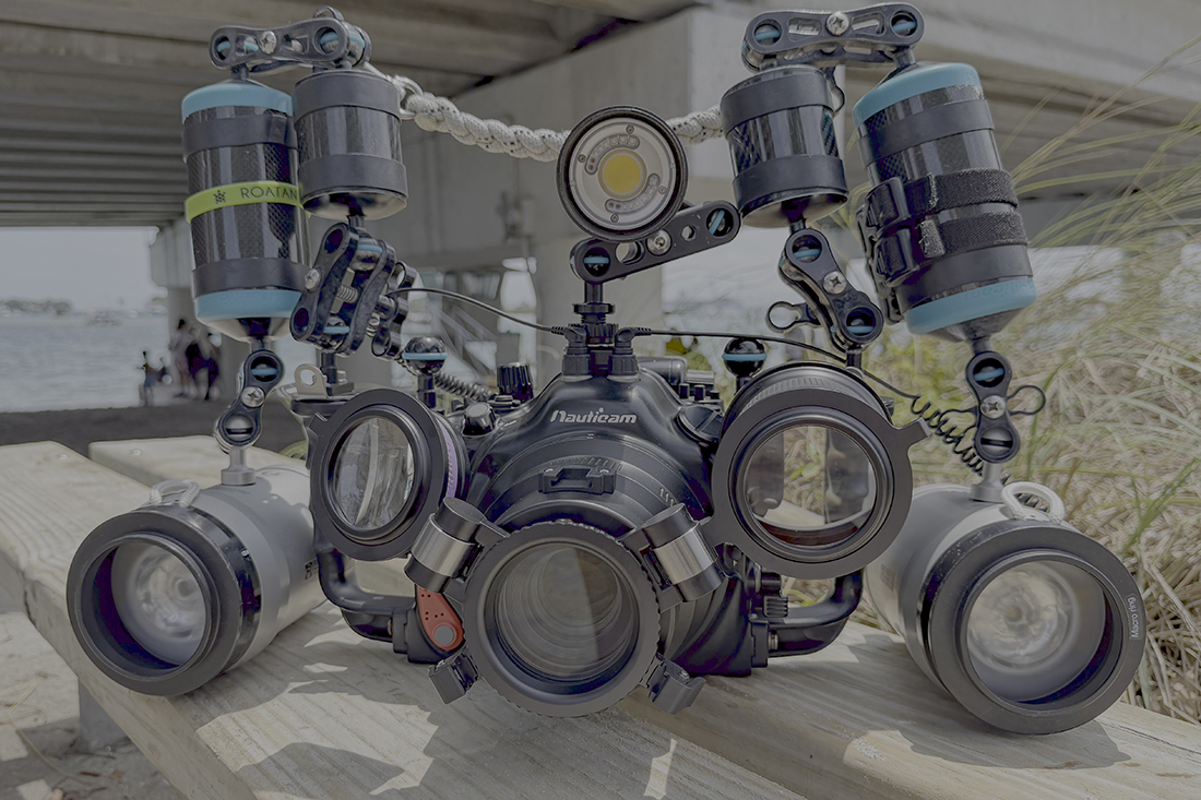 Like having the proverbial Swiss Army Knife of macro systems, through my double flip diopter holder I can have both my SMC-3 lens providing a 2.3x magnification factor for shooting the tiny stuff, with the MFO-3 at the ready for basketball-sized critters.