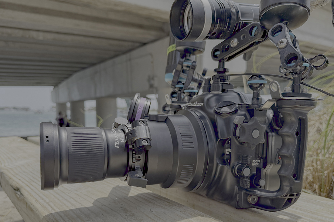 Ready for the first dive to find out if I can have the best of both worlds shooting with a 60mm macro lens in addition to having a105mm macro lens. My Nauticam/Nikon Z8 system with Nikkor Z MC 105mm f/2.8 VR S lens and Nauticam MFO-3 in place via a double flip adapter mounted on the front port.