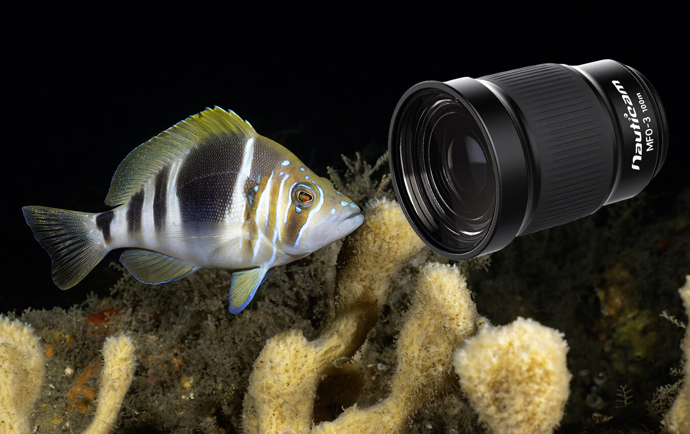 Review on Nauticam's MFO-3